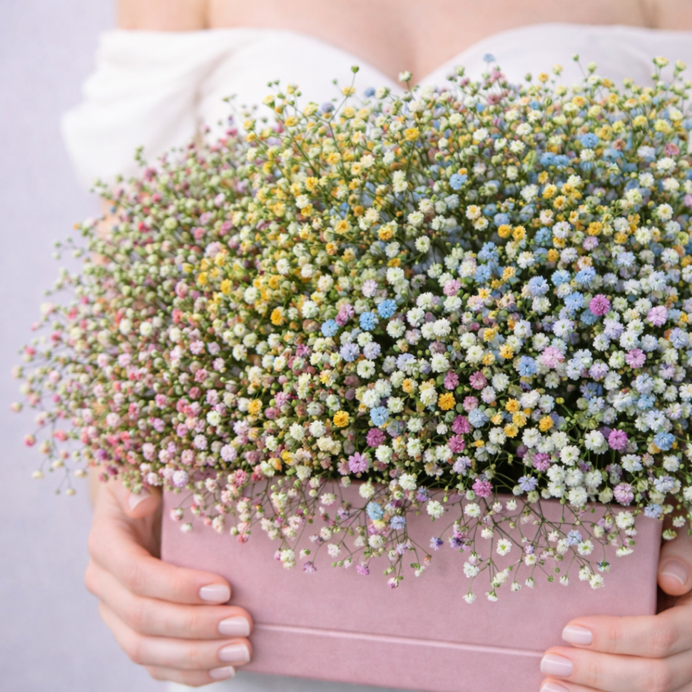 Композиция из цветной гипсофилы