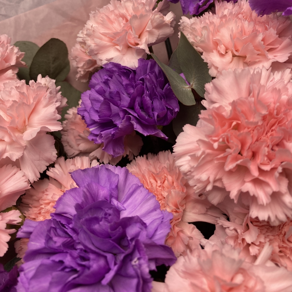 Букет к 14 февраля "Дуо Диантусы"