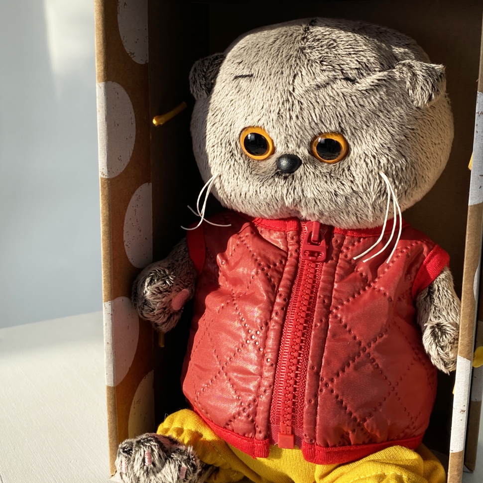 Басик в красной куртке