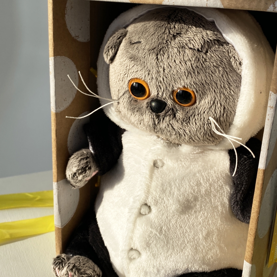 Басик в толстовке с капюшоном