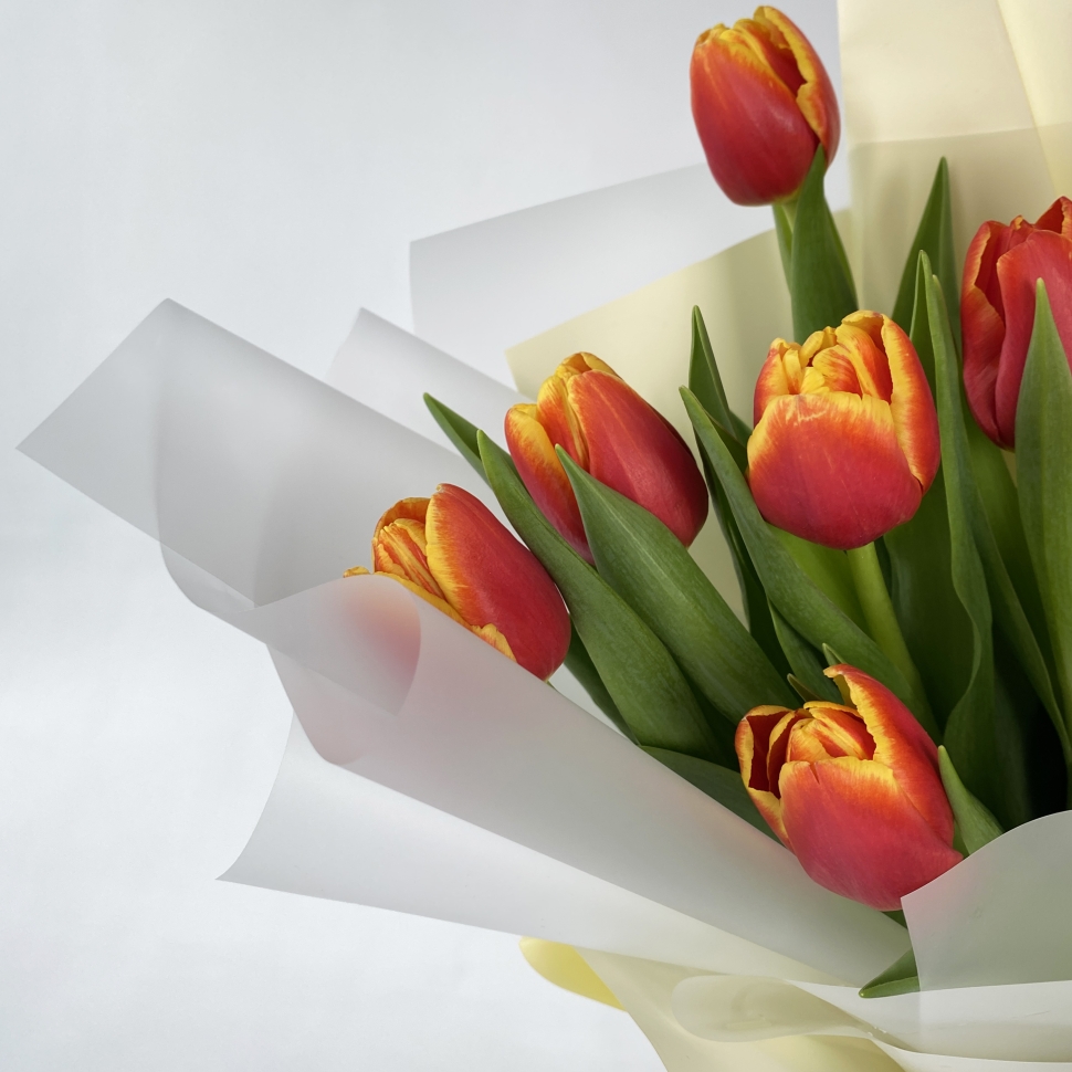 Букет из 9 тюльпанов