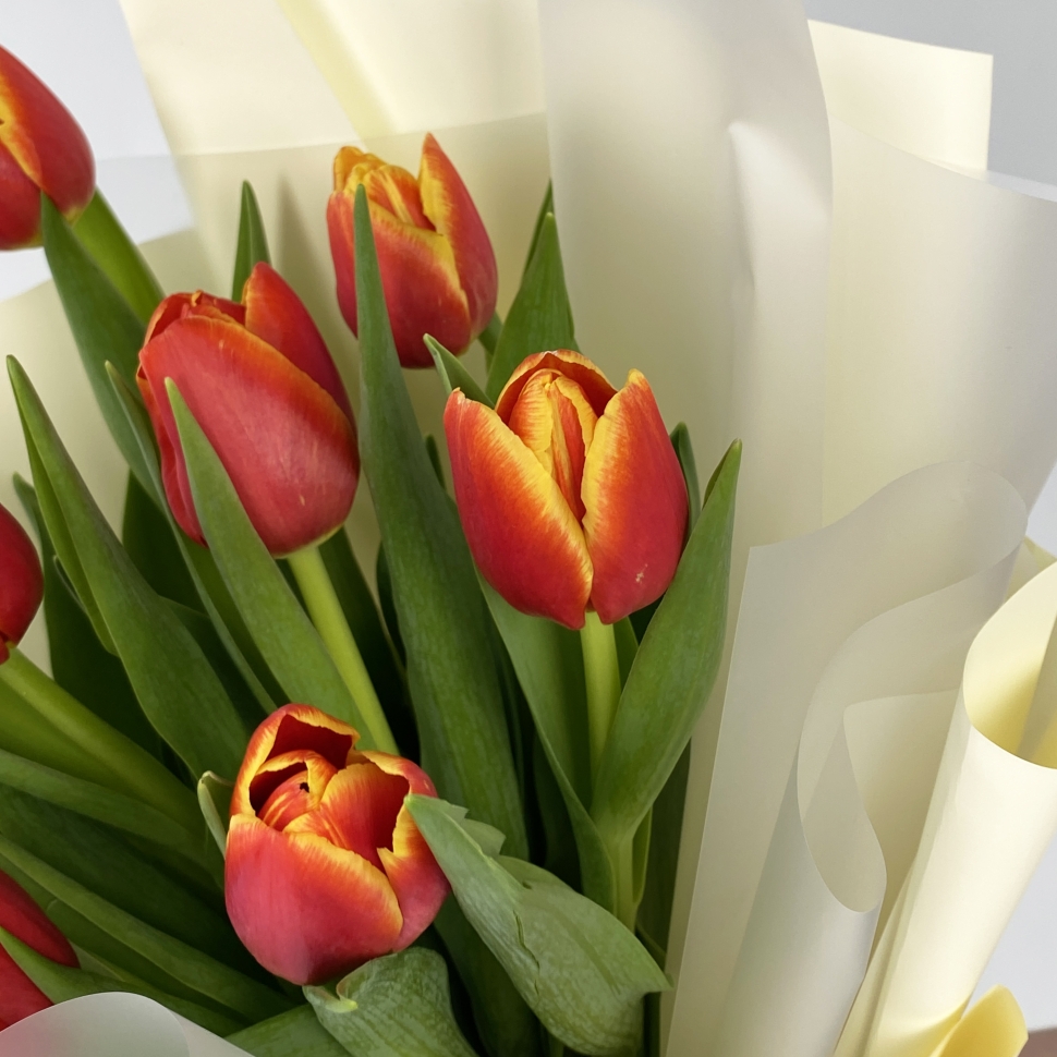 Букет из 9 тюльпанов