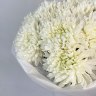 Букет из 9 одноголовых хризантем