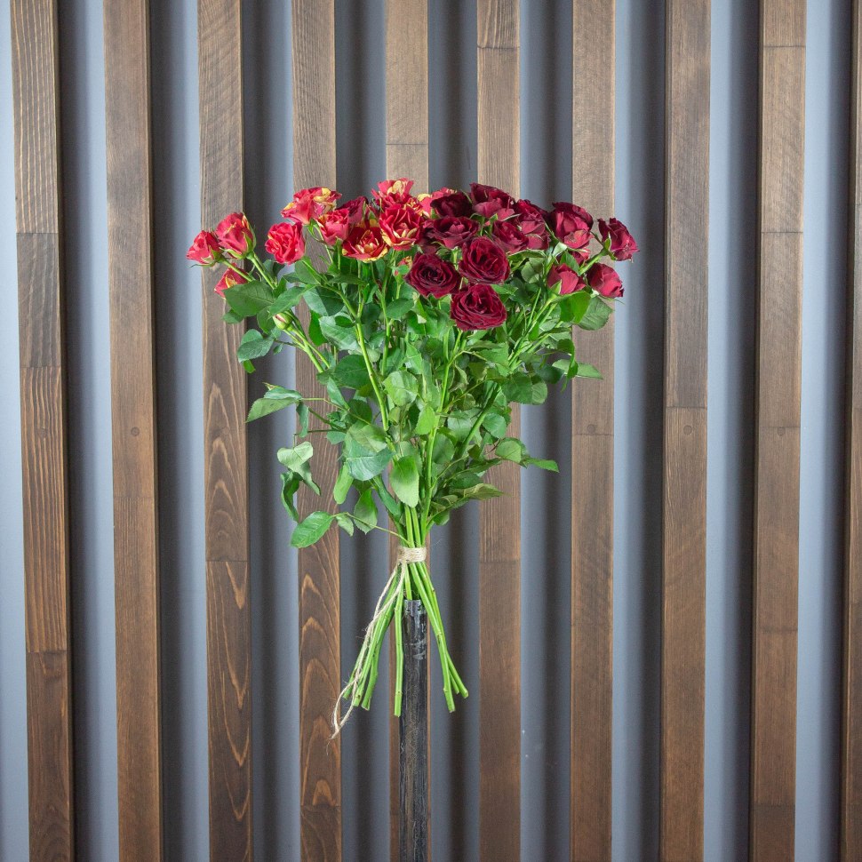 Роза Кустовая