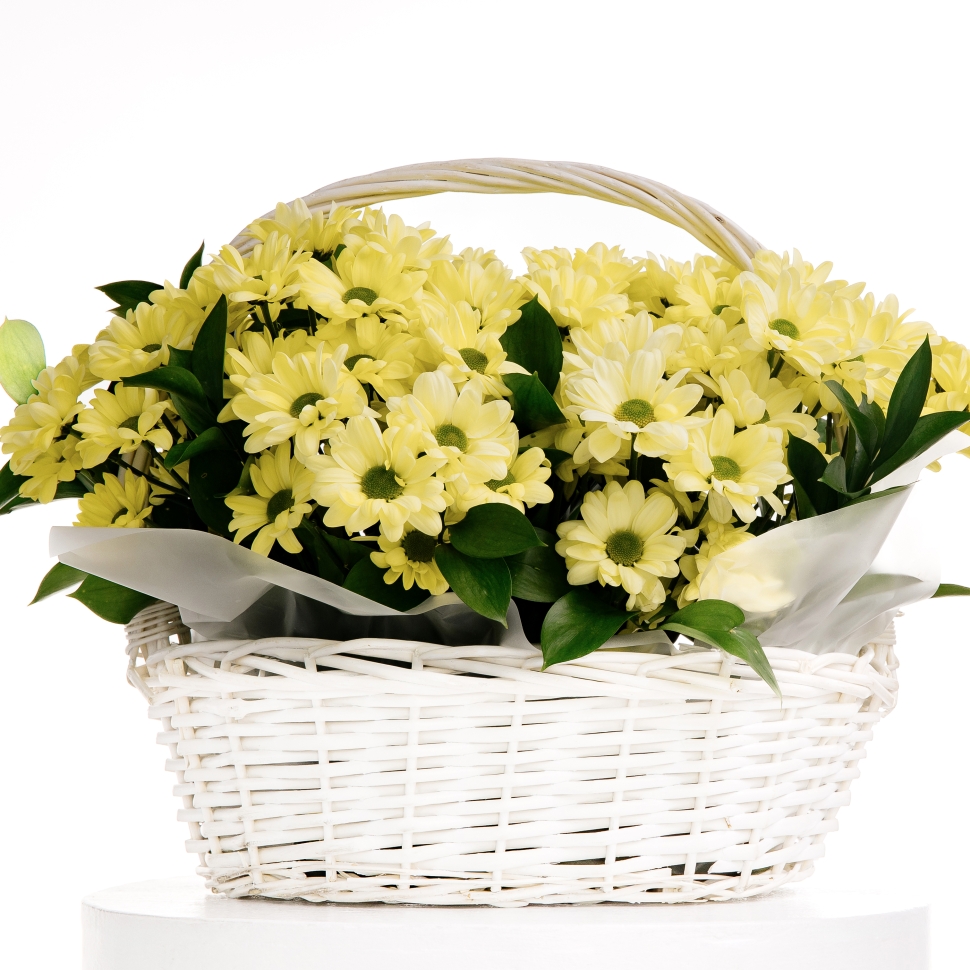 Композиция с 11 хризантемами
