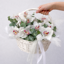 Корзина с белой орхидеей