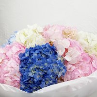 Букет из 7 гортензий