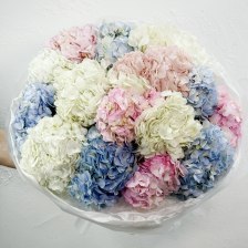 Букет из 15 гортензий