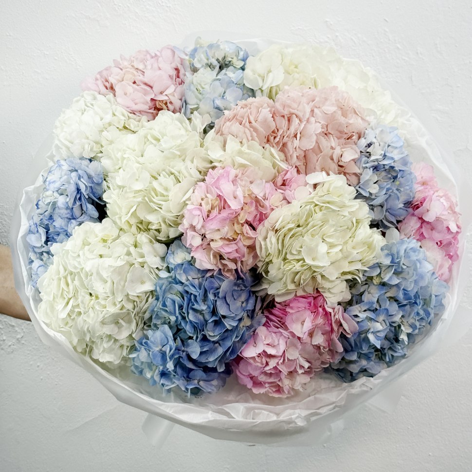 Букет из 15 гортензий