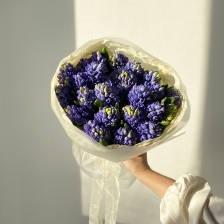 Букет из 25 гиацинтов