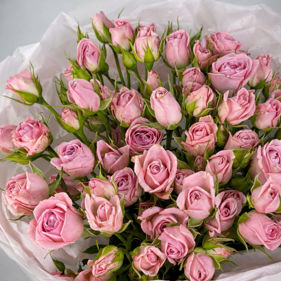 Букет из 15 розовых кустовых роз