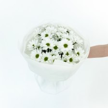 Букет из 5 кустовых хризантем