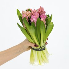 Букет из 9 гиацинтов