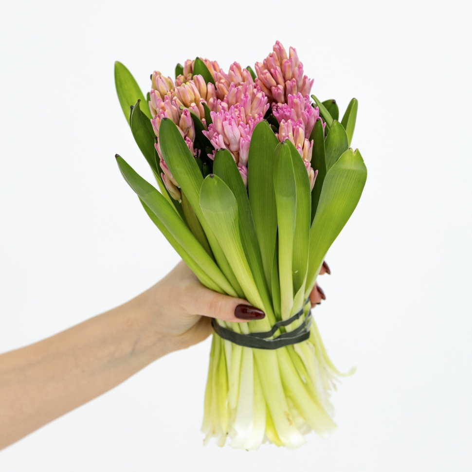 Букет из 9 гиацинтов